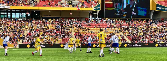 自实力的一 自实力的一