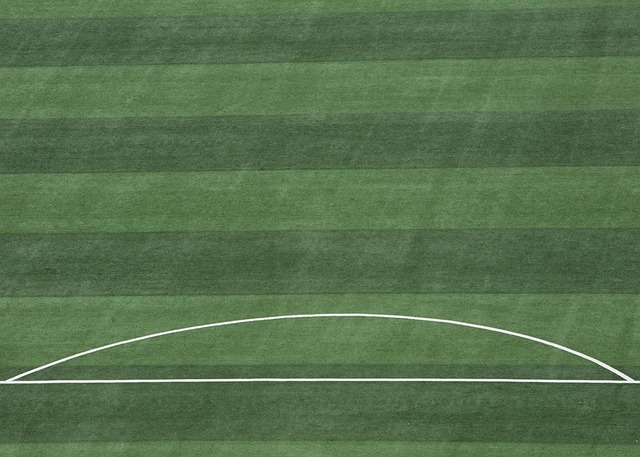 进一步规范 进一步规范