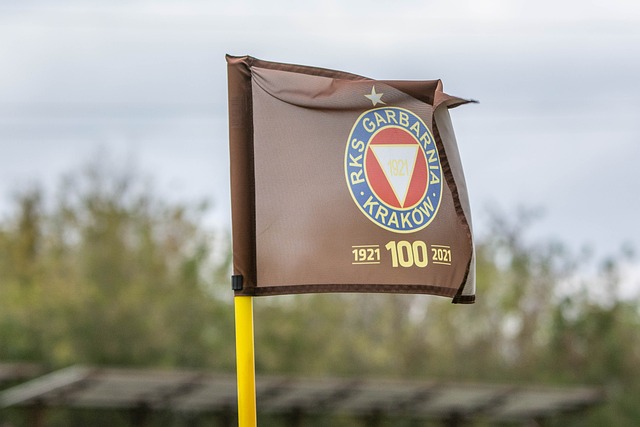 服务吸引了 服务吸引了