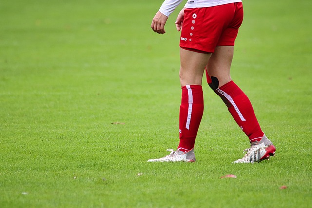 的体育赛事 的体育赛事