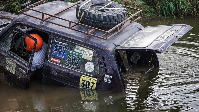 上反映了球 上反映了球