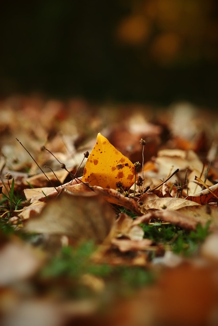 [国足]U20亚洲杯12日开赛 中国队备战忙.