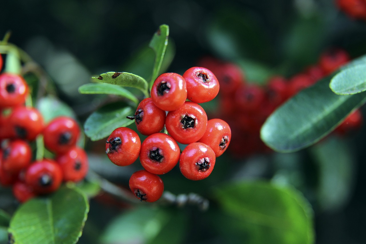 中超聯賽第18輪比賽集錦.