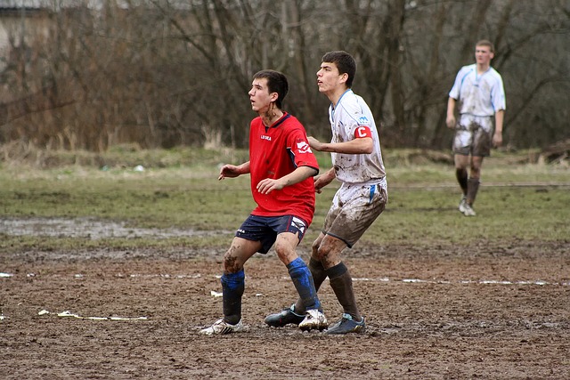 欧洲杯夺冠赔率：法国居首 卫冕冠军未进前.